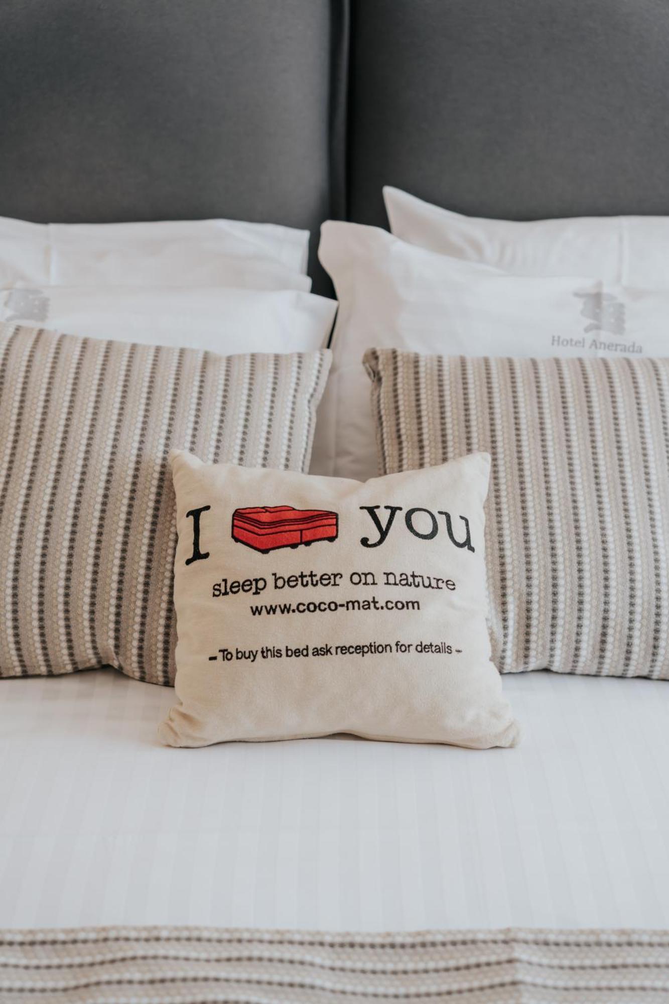 Anerada Hotel Καλάβρυτα Δωμάτιο φωτογραφία